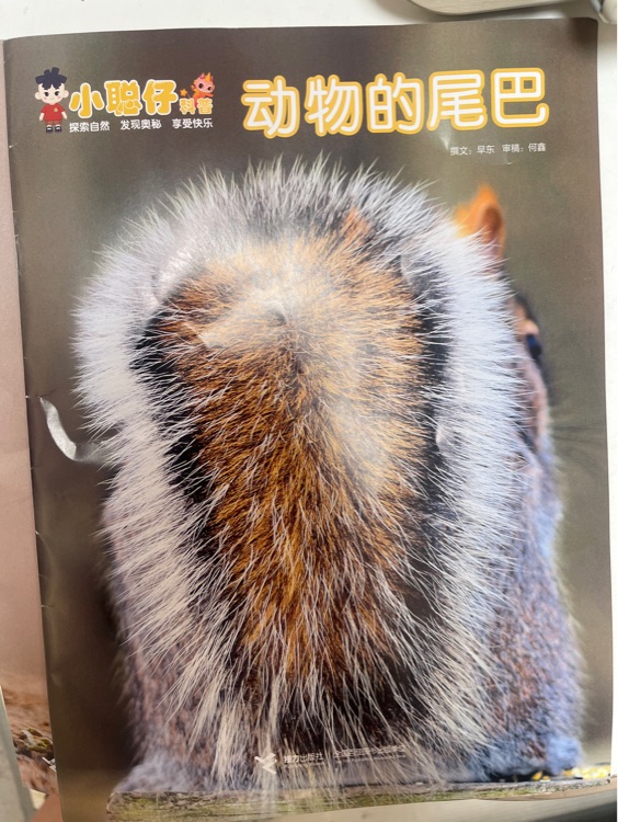 小聰仔動物的尾巴