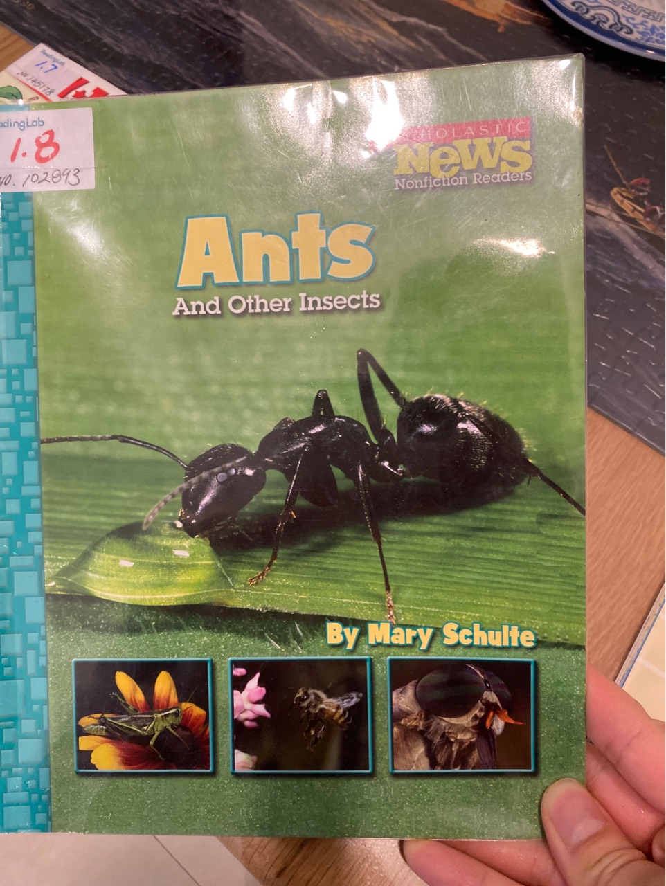 Ants