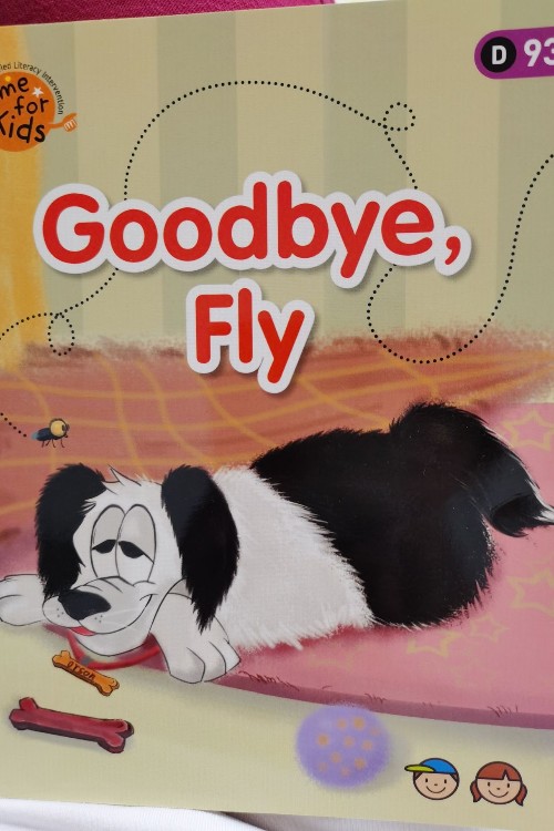 Goodbye,Fly