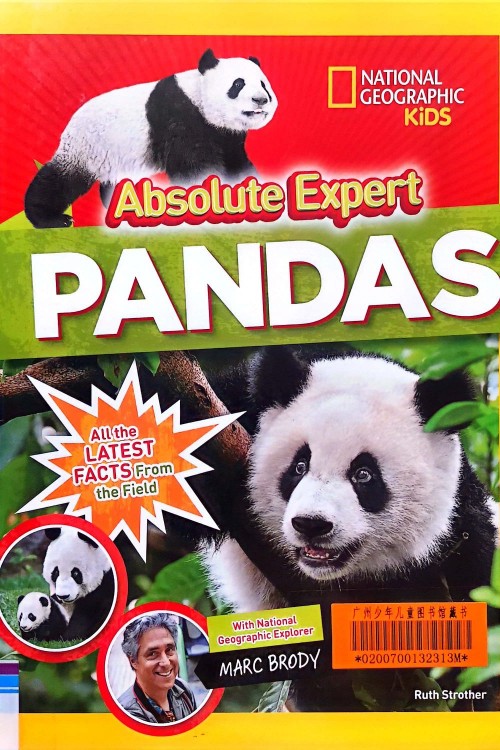 Absolute Expert Pandas