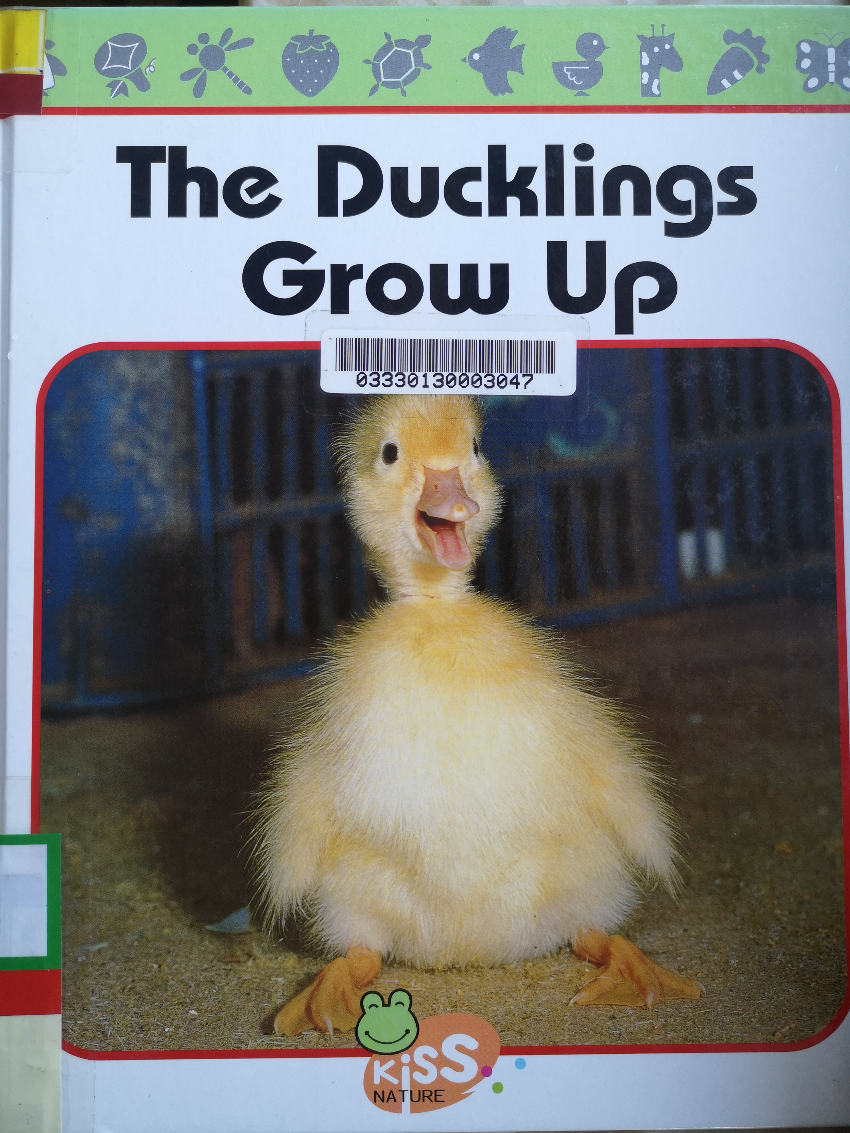 The Ducklings Grow Up