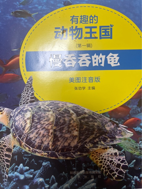 有趣的動物王國?慢吞吞的龜