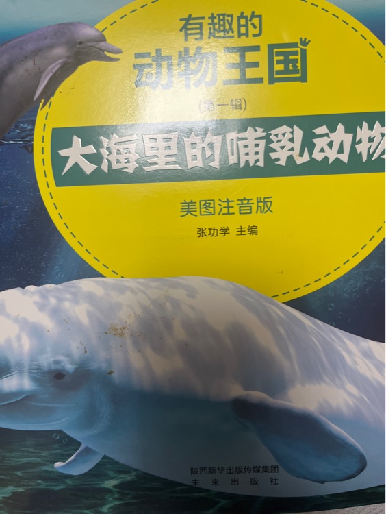 有趣的動物王國?大海里的哺乳動物
