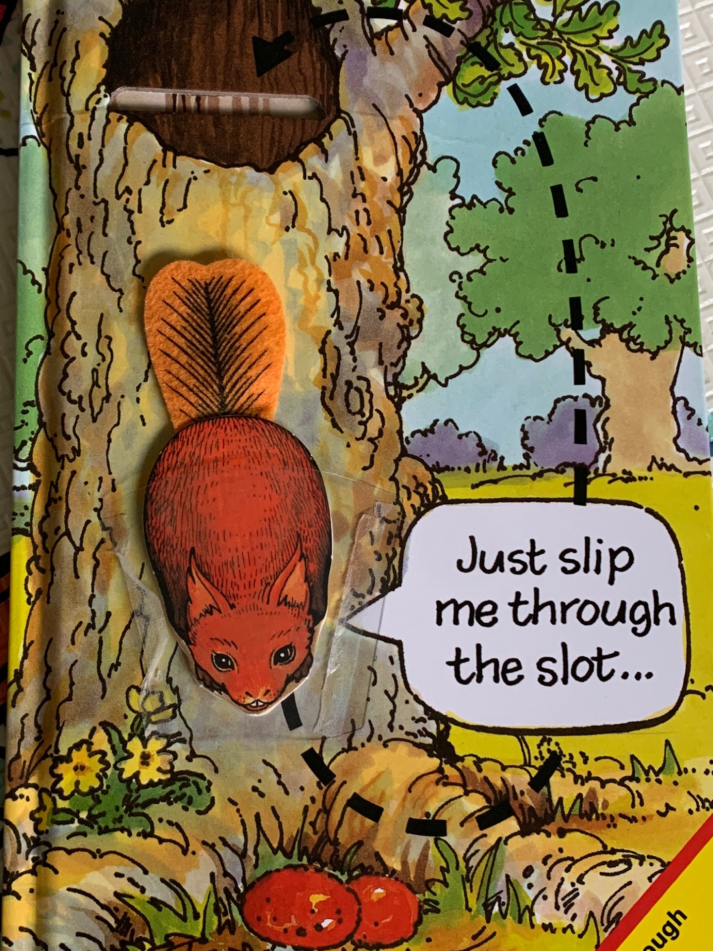 A squirrel s tale