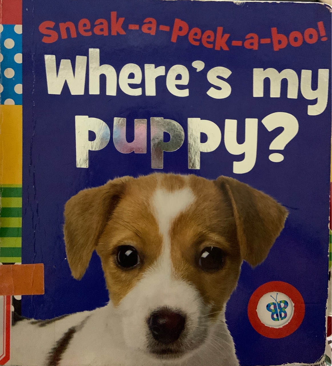 Where's my puppy?