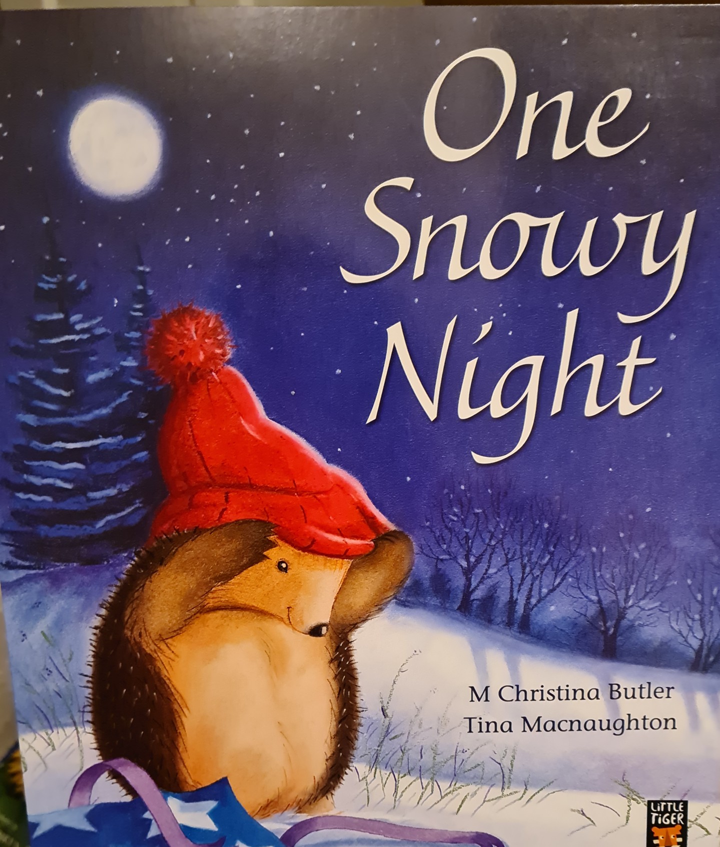 One Snowy Night