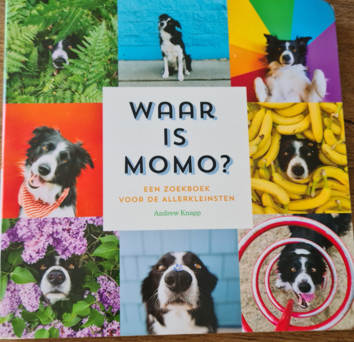 Waar is MoMo?
