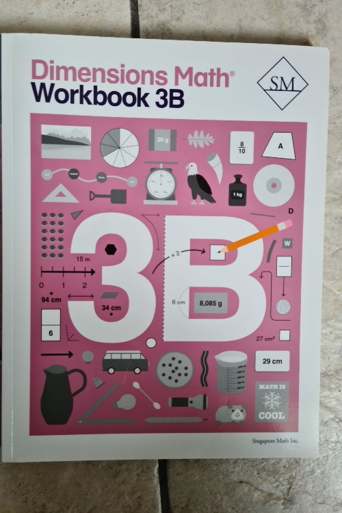 Dimensions Math Workbook 3B