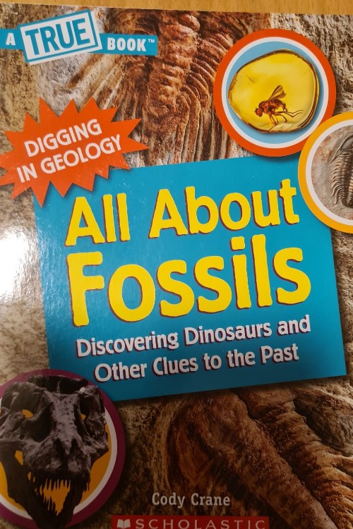 All about Fossils