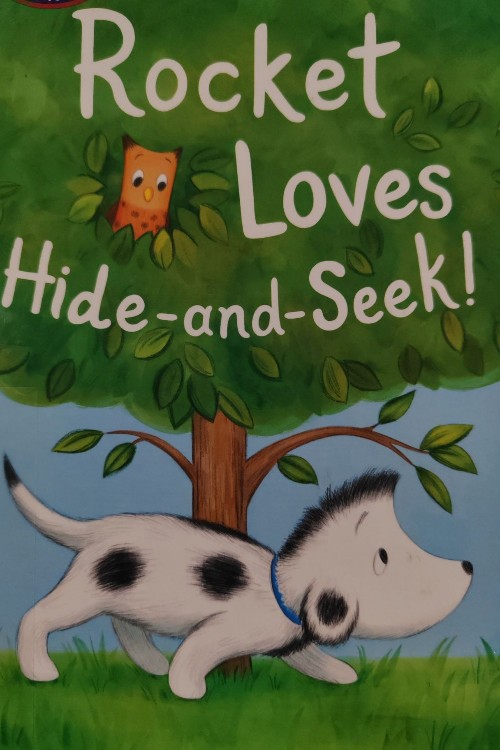 rocket loves hide and seek