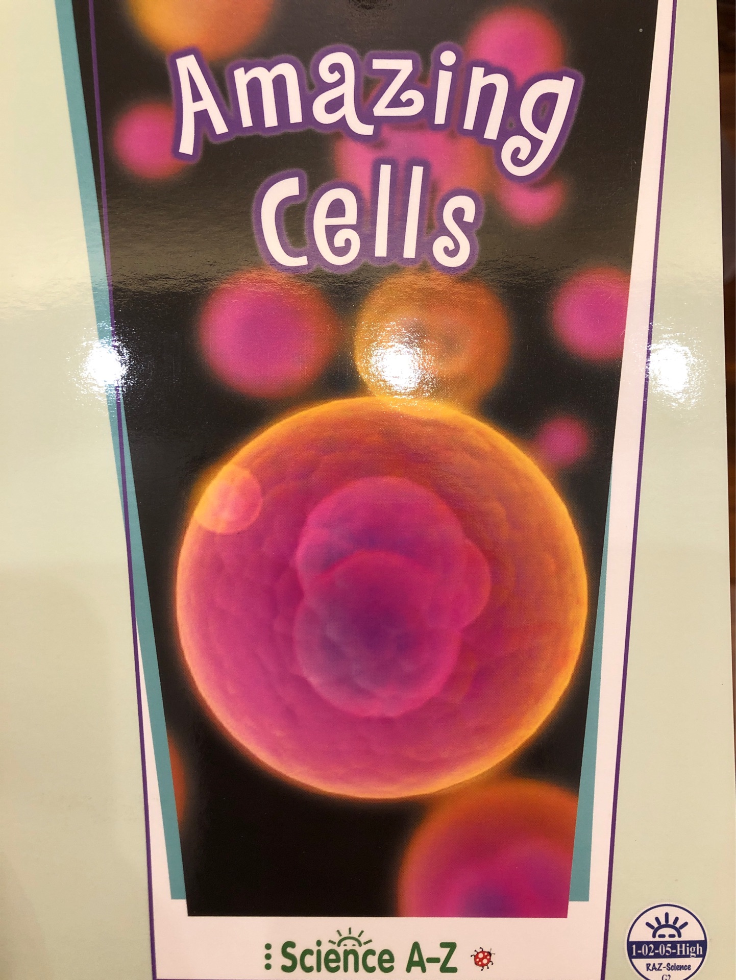 Amazing cells