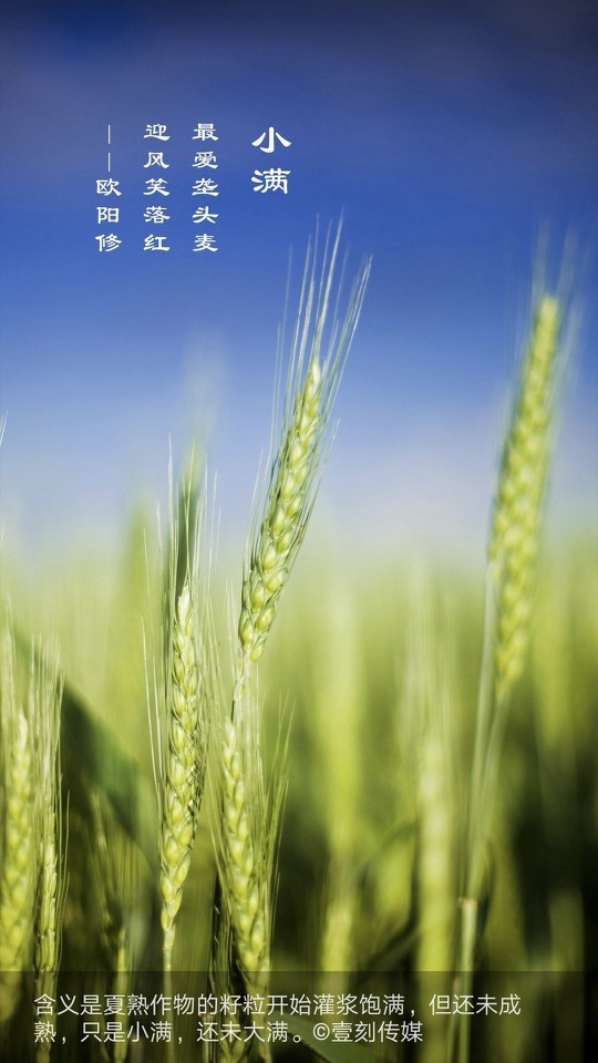 一天的总结