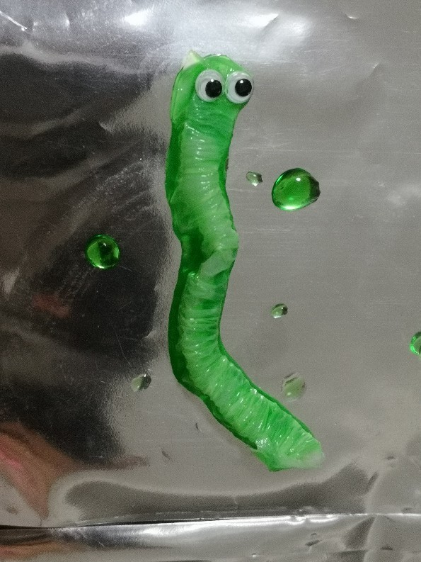 毛毛虫
