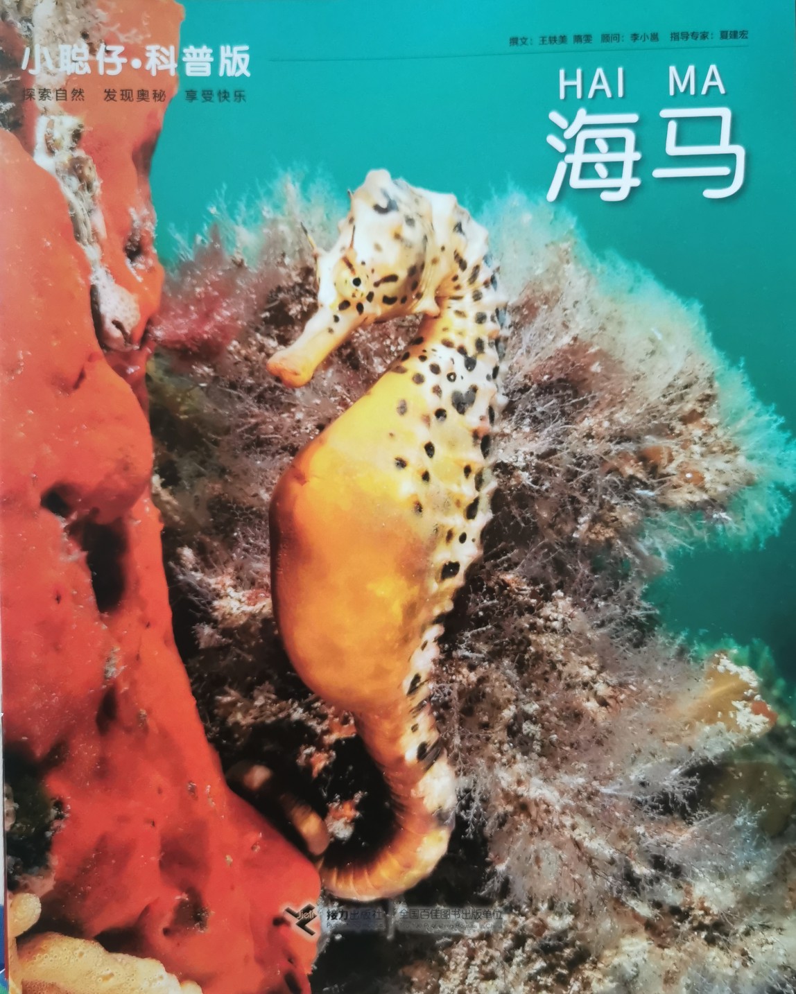 海馬2018年11月刊