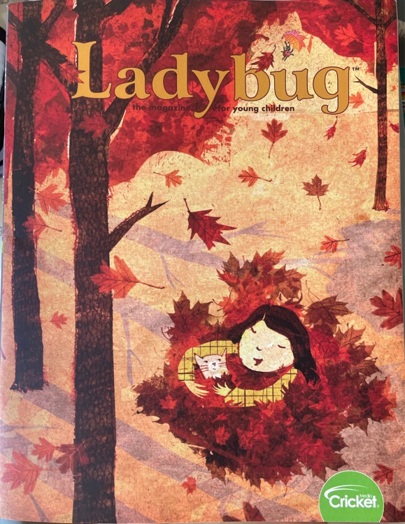 Ladybug 2019-9