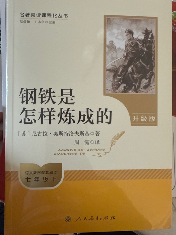 鋼鐵是怎樣煉成的