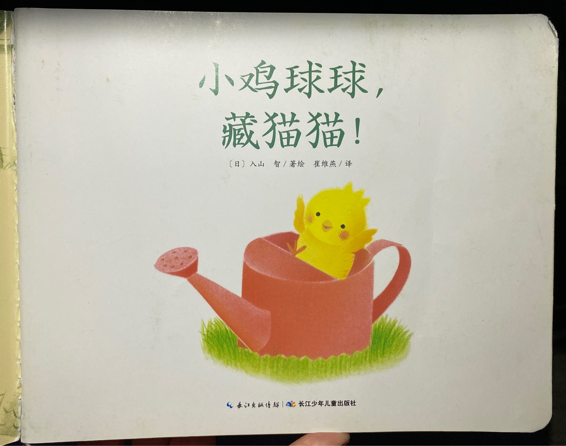 小雞球球藏貓貓