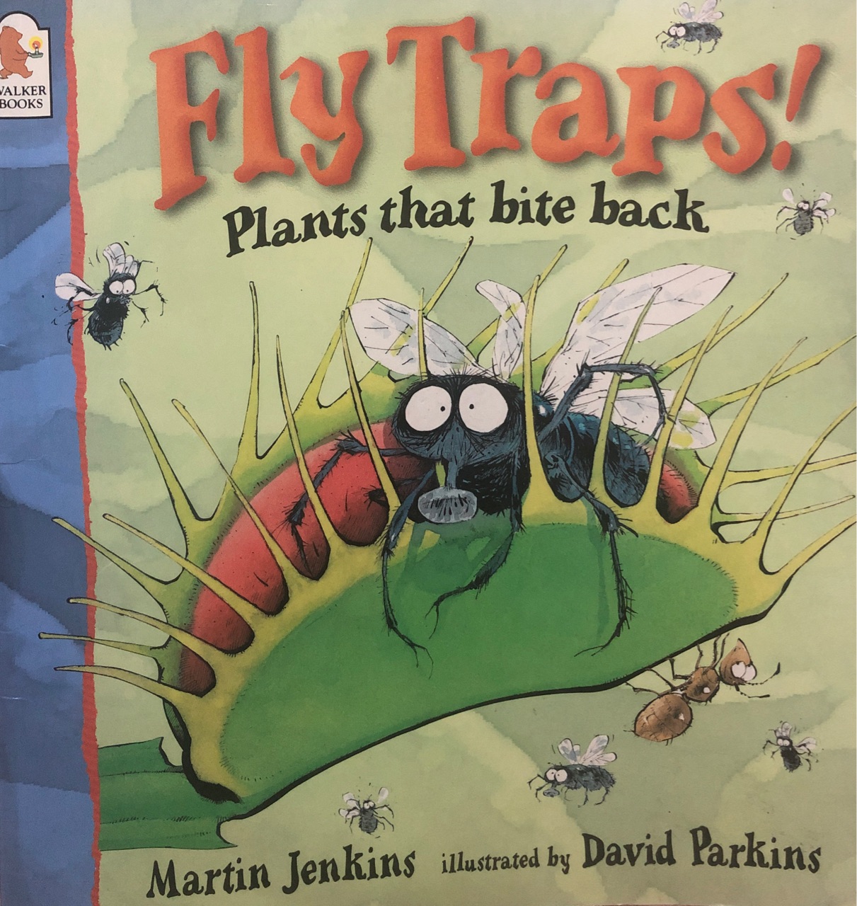 fly traps