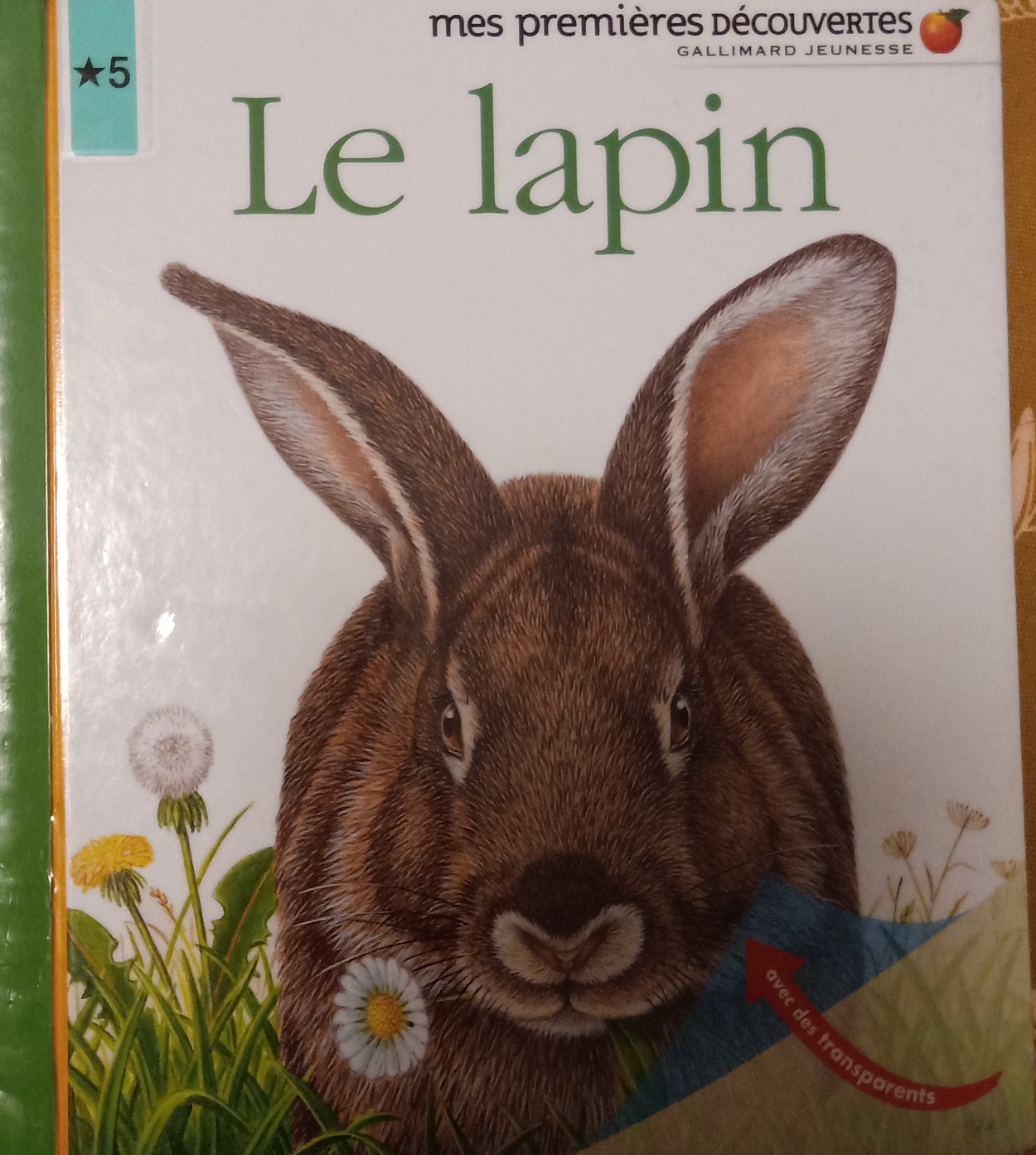 Le Lapin