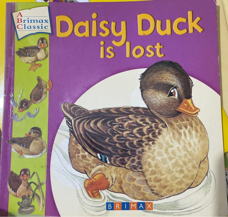 Daisy Duck is Lost