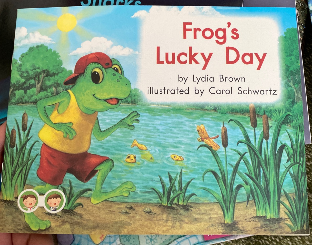 Frog's lucky day