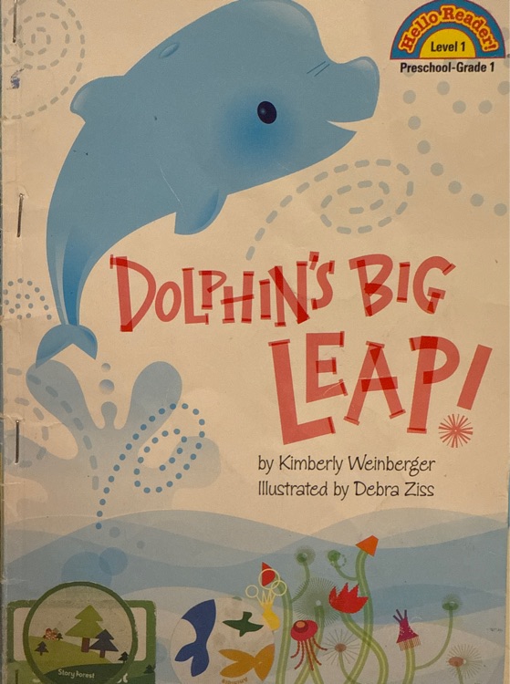 Dolphin's big leap!