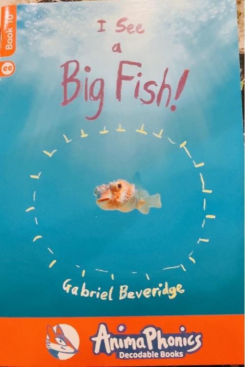 I see a big fish