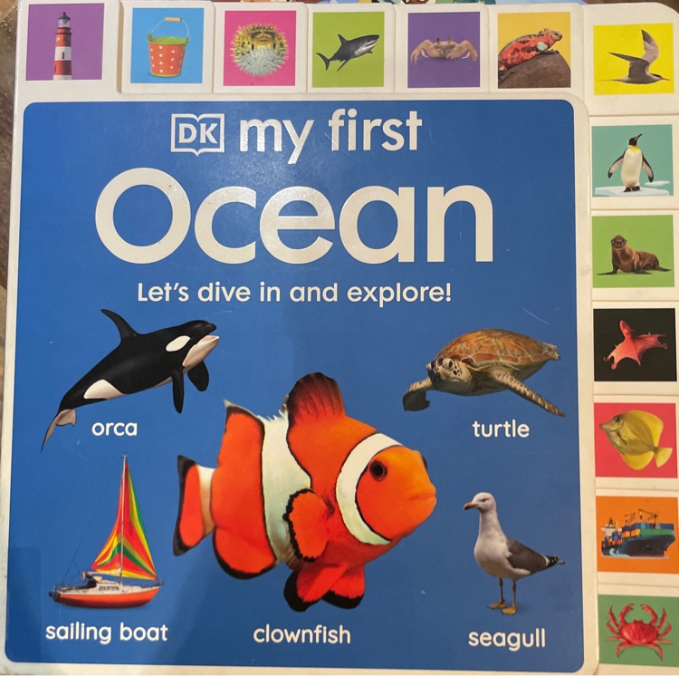 Dk my first ocean