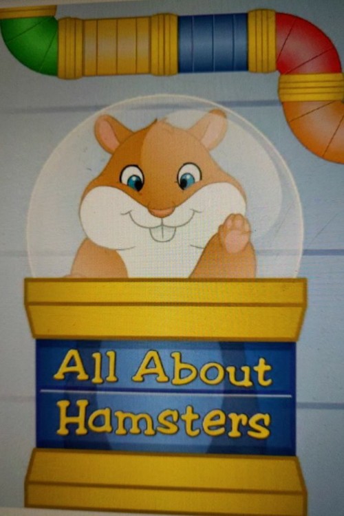 All about hamsters