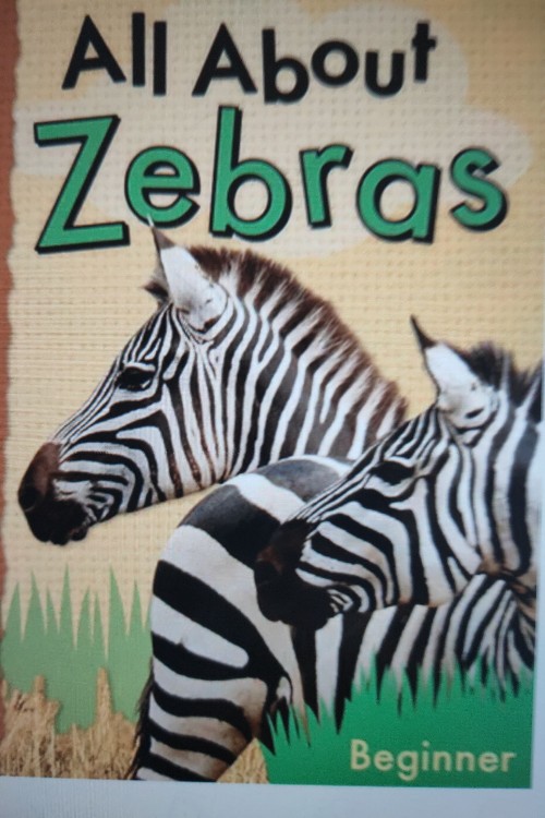 All about zebras