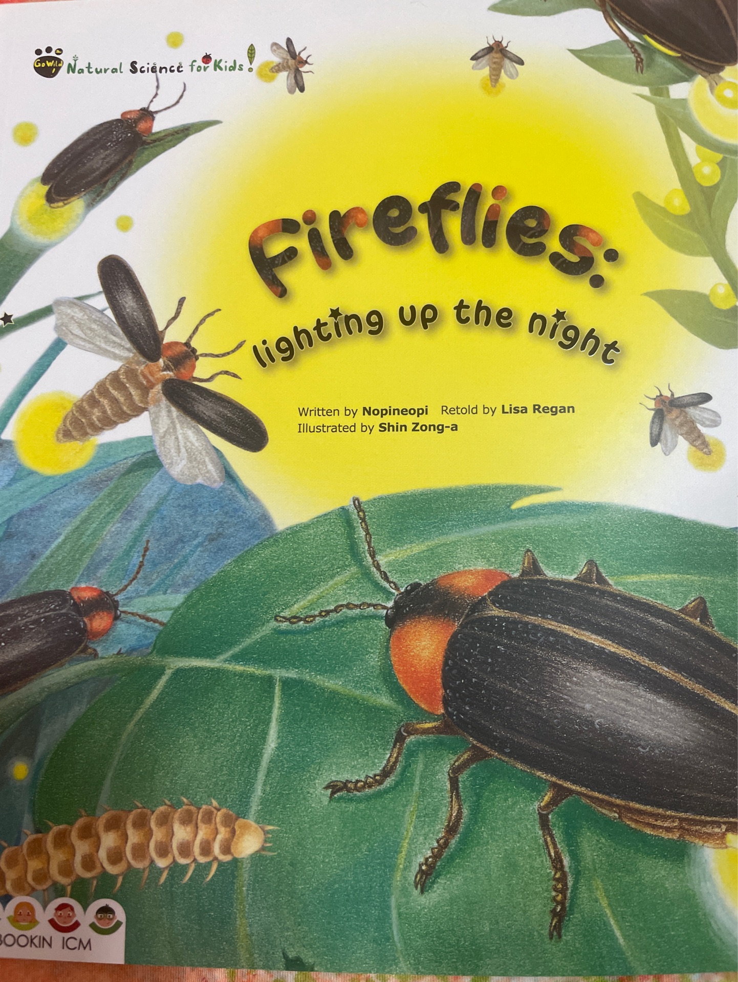 Fireflies: lighting up the night