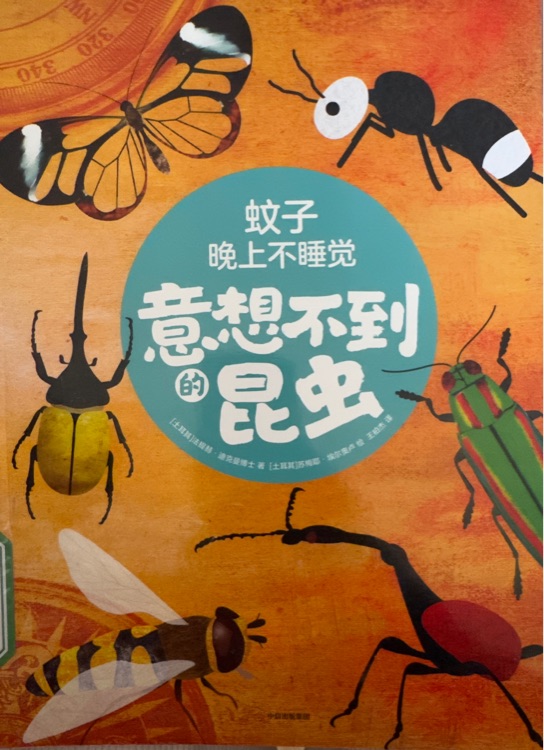 蚊子晚上不睡覺意想不到的昆蟲