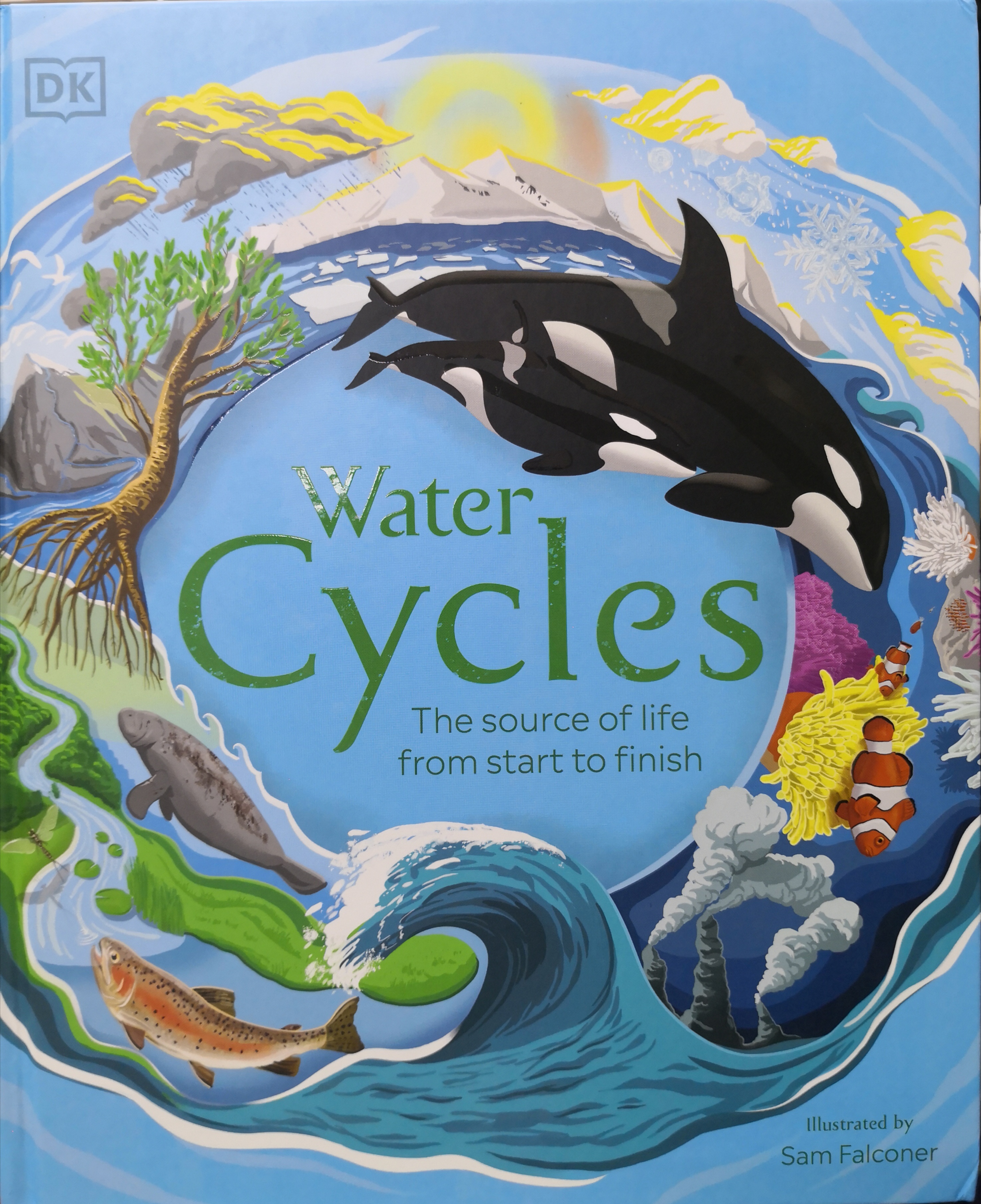 Water Cycles