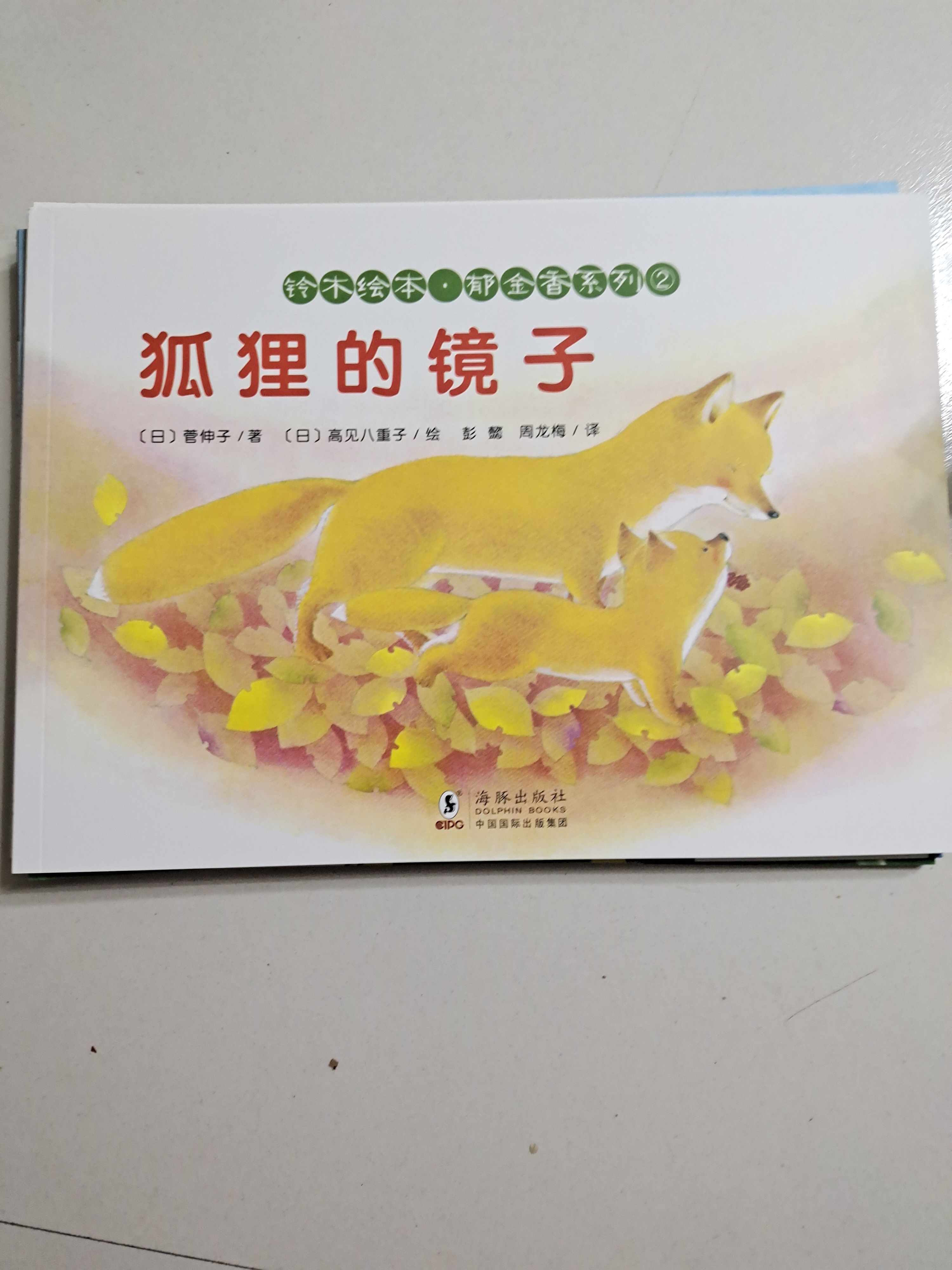 狐貍的鏡子