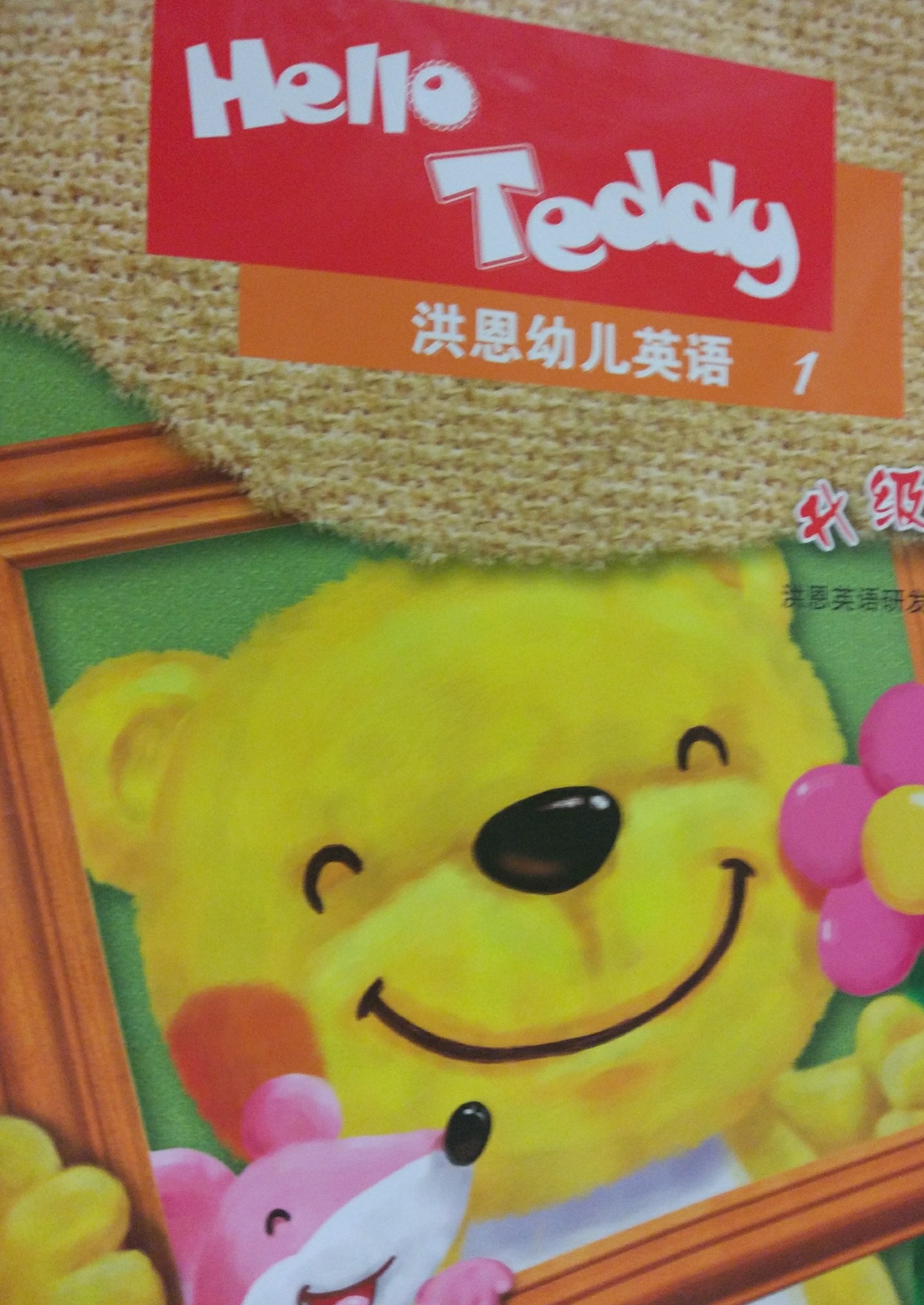 hello teddy1