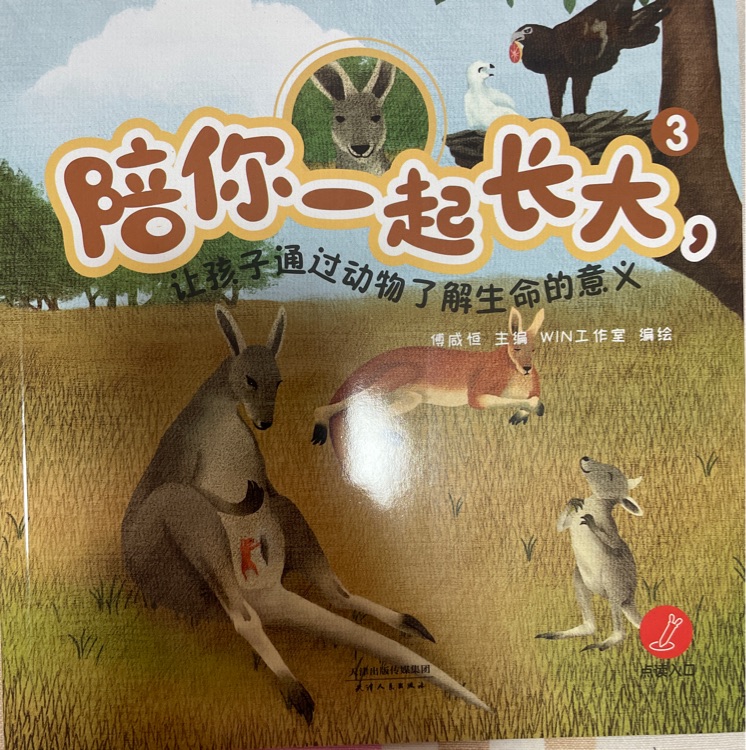 查看系列