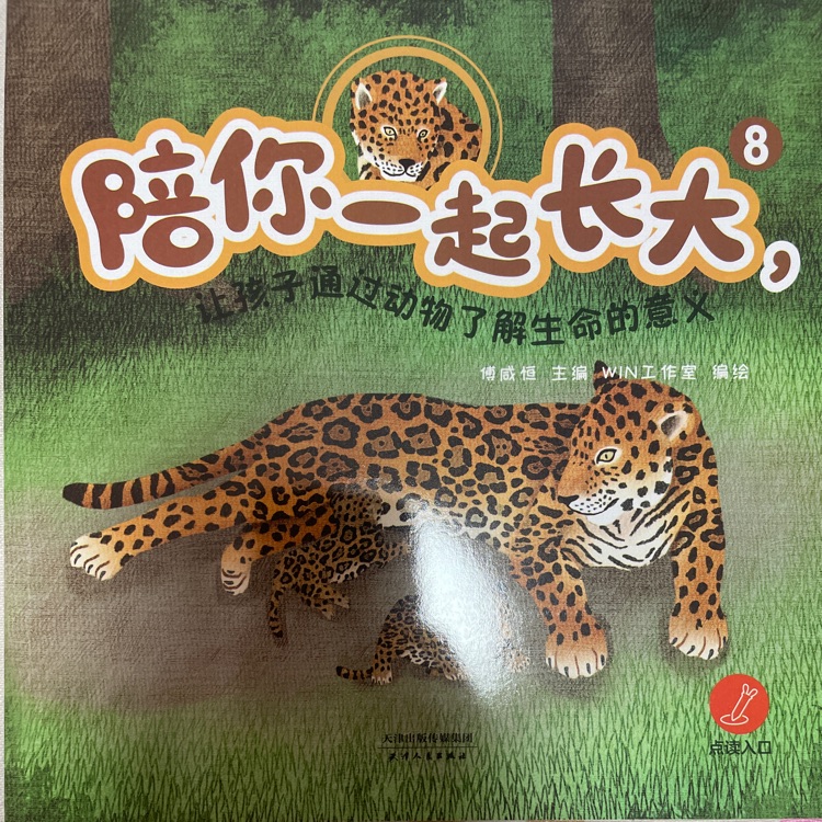 查看系列