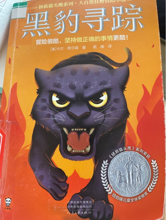 黑豹尋蹤