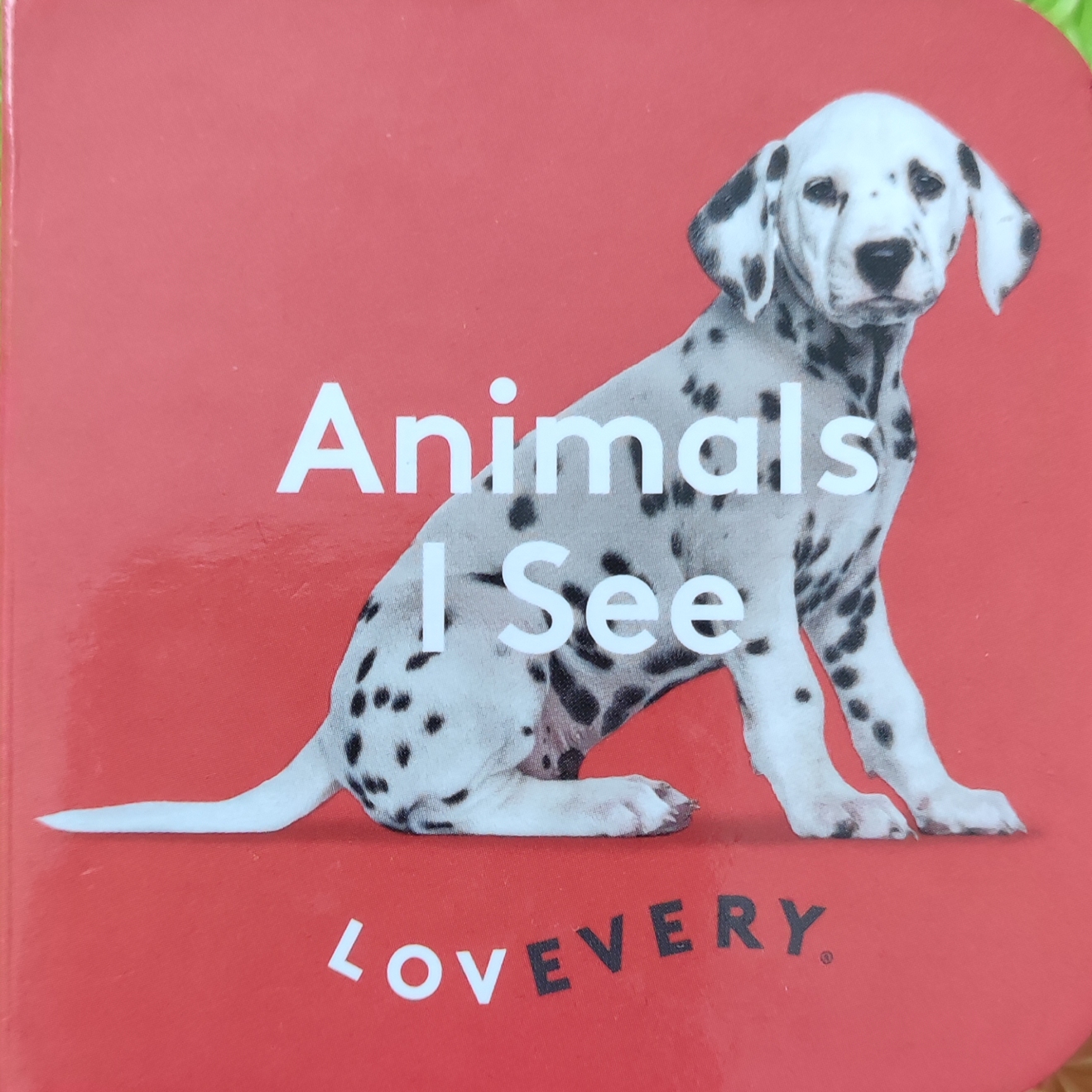 Animals I See