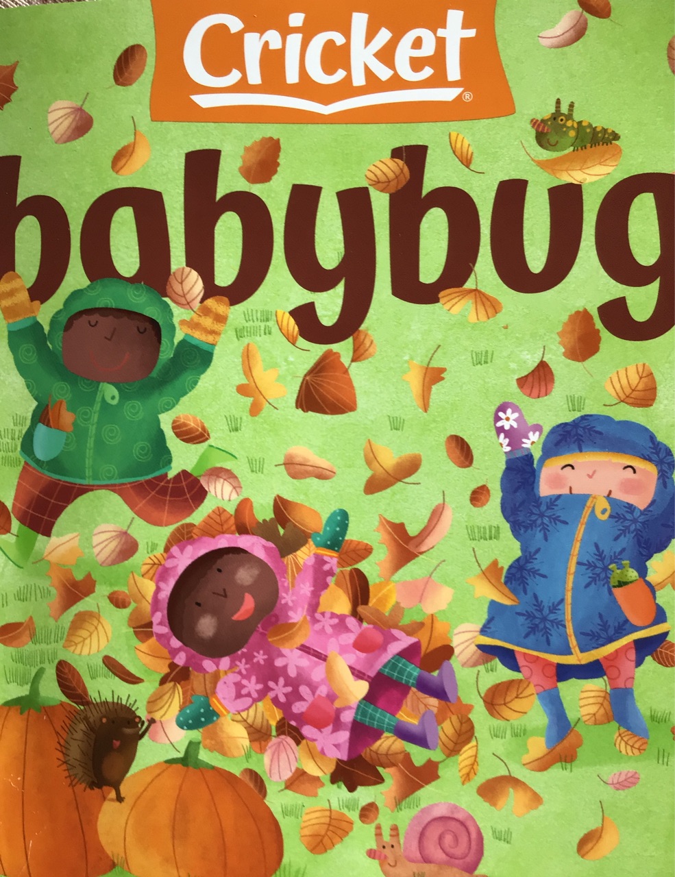 Babybug November/December 2020 Volume 26