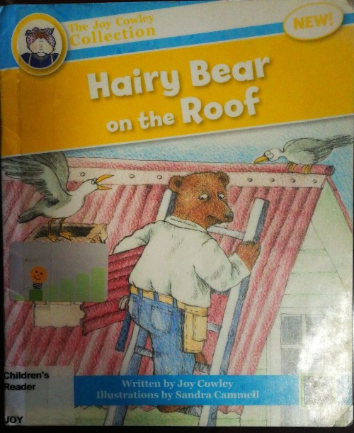 Hairy Bear on the roof