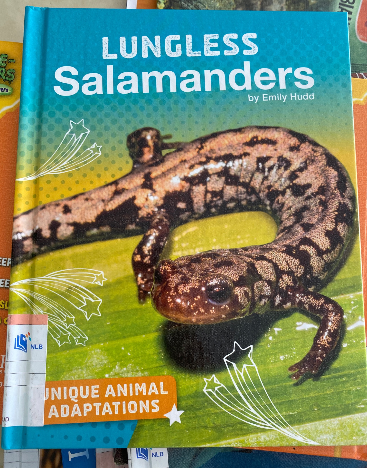 Lungless salamanders