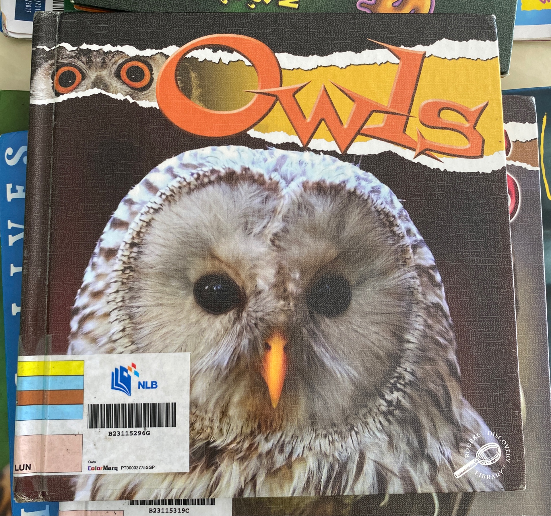 Owls