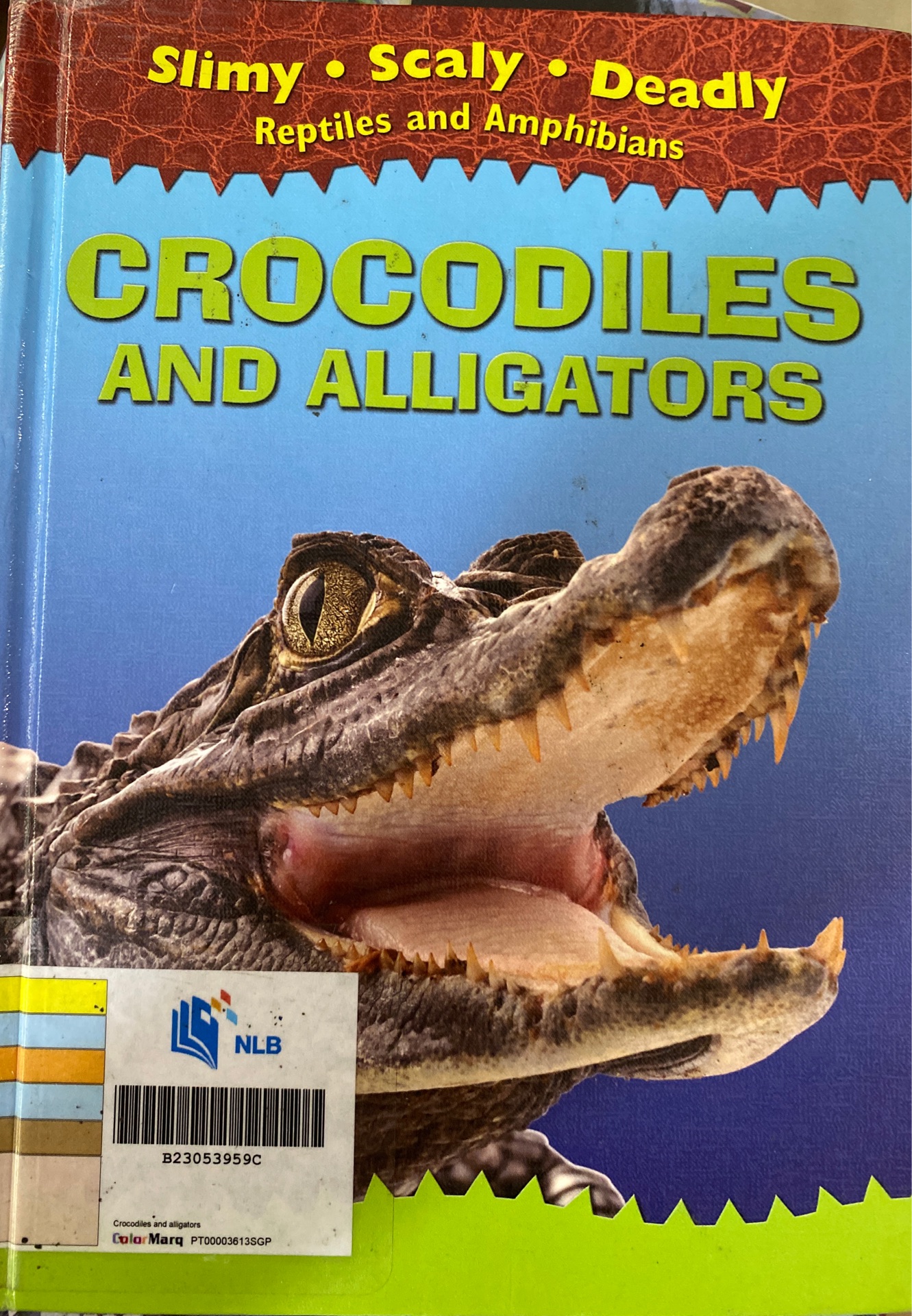 Crocodiles