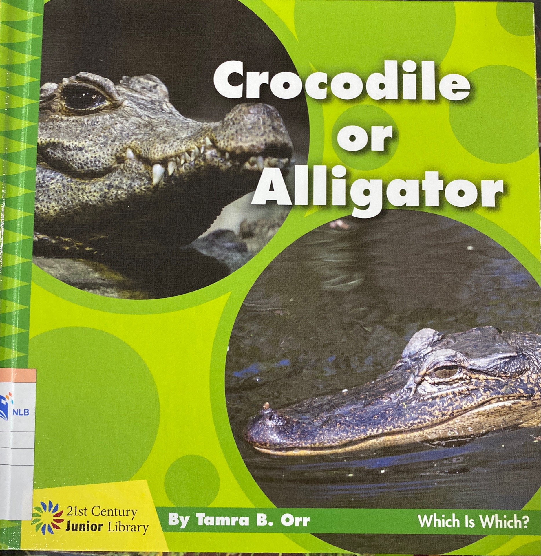 Crocodile or alligator