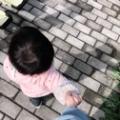 甜果兒520