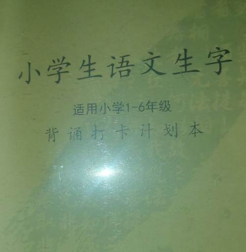 语文生字背诵打卡