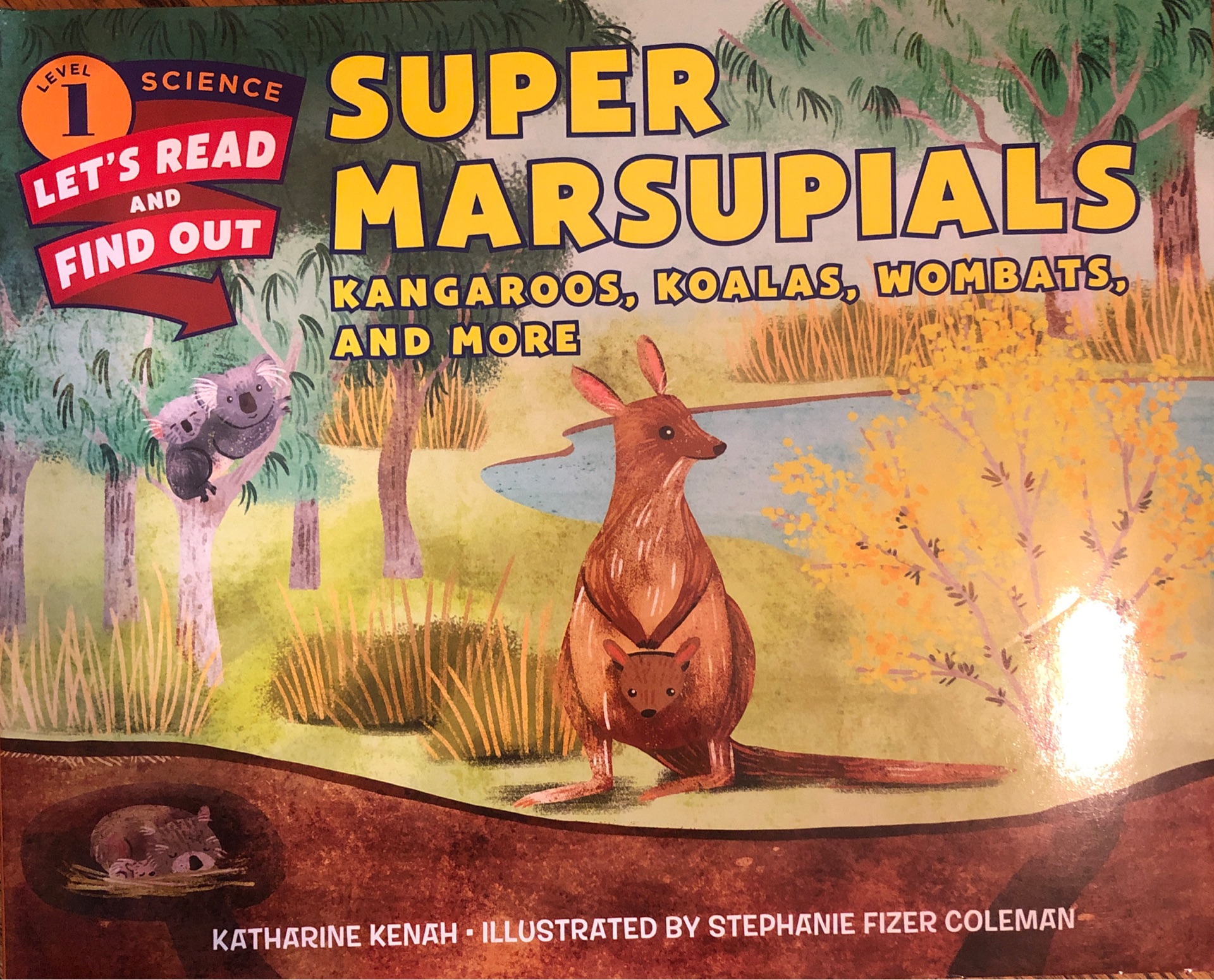 Super Marsupials: Kangaroos, Koalas, Wombats, and more(Let's read and find out level 1)