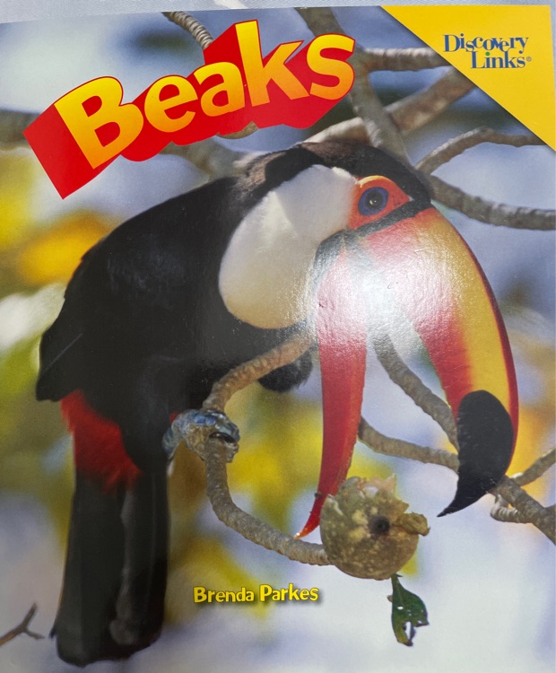 Beaks