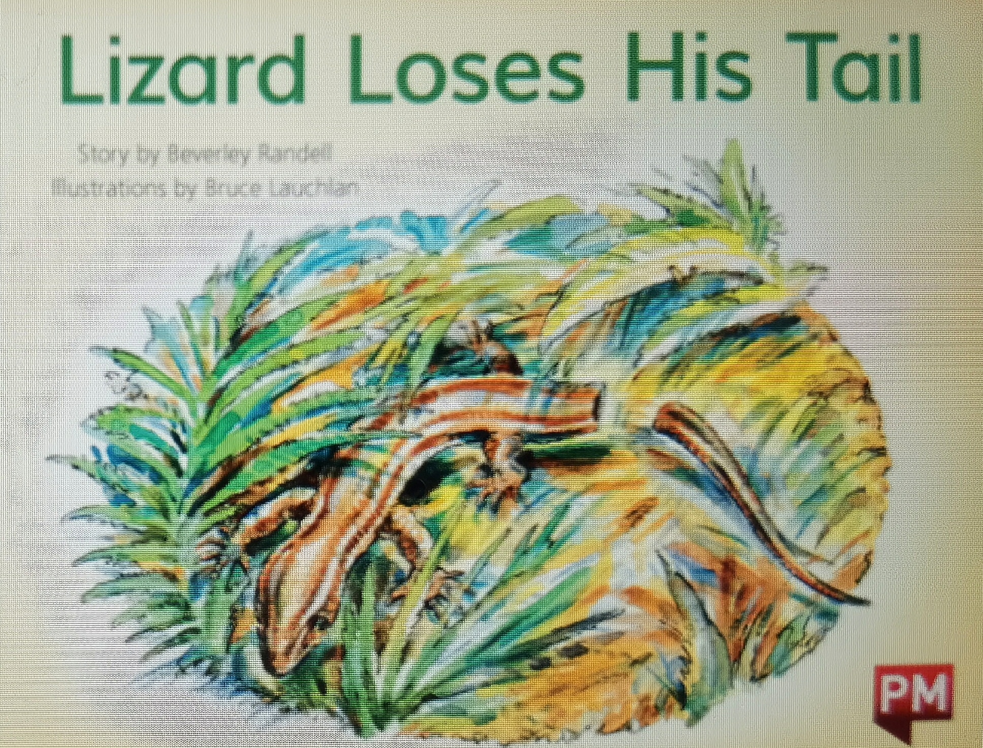 PM Red: Leveled Reader Lizard Loses His Tail (PM Story Books Red Level)